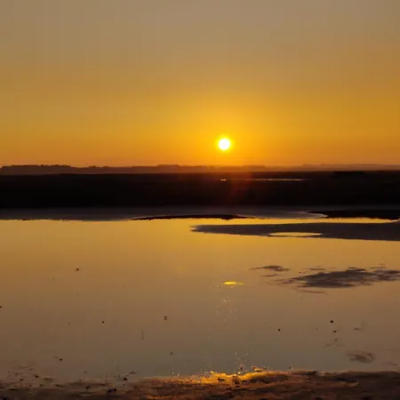 Pilets De La Baie D'authie