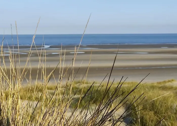 Pilets De La Baie D'authie * Fort-Mahon-Plage